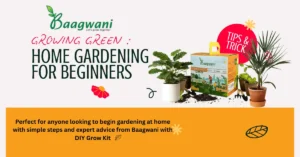 home gardening for beginners