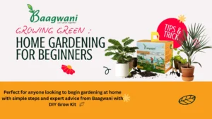 Home Gardening for Beginners: A Complete Guide to Start Your Green Journey 🌿
