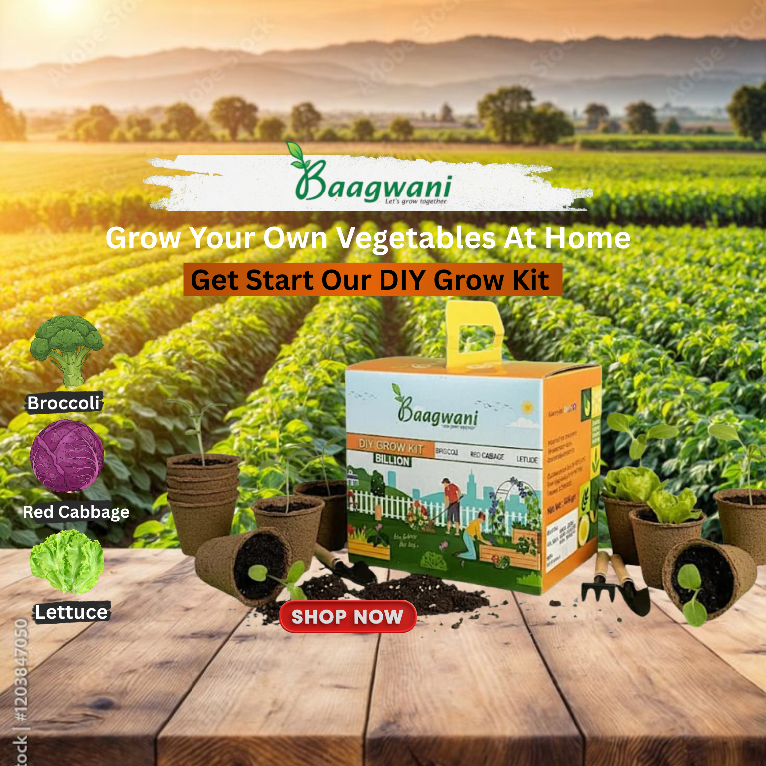 Untitled (1536 x 1024 px) (1536 x 1536 px)