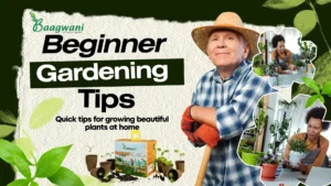 home gardening tips in india